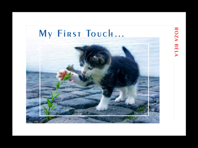 wall Art - framed posters by rozabela