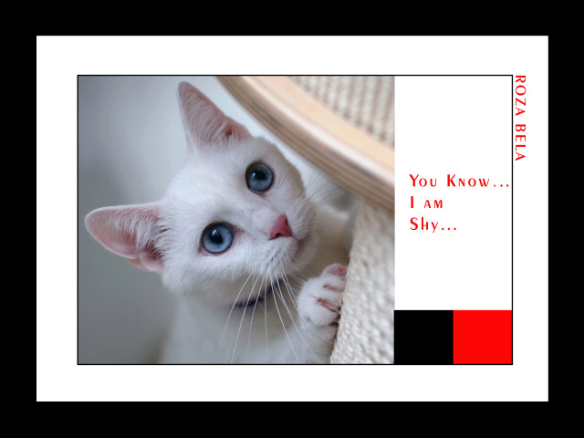 wall Art - framed posters by rozabela