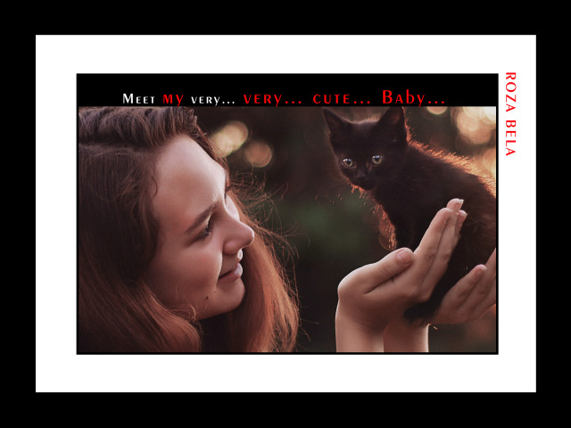 wall Art - framed posters by rozabela