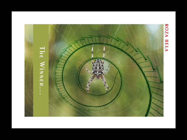 wall Art - framed posters by rozabela