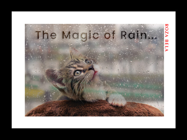 wall Art - framed posters by rozabela