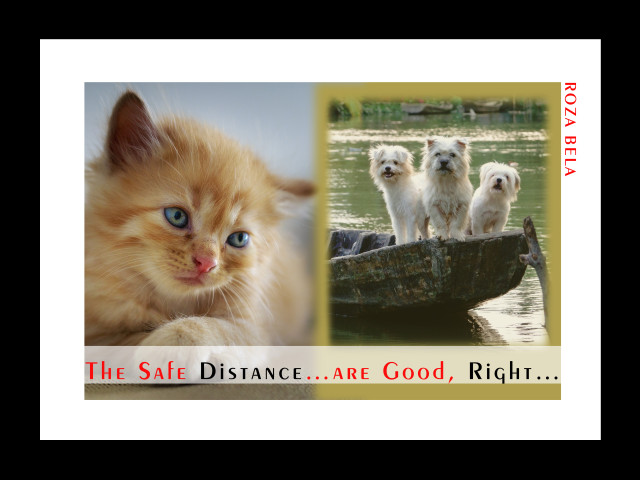 wall Art - framed posters by rozabela